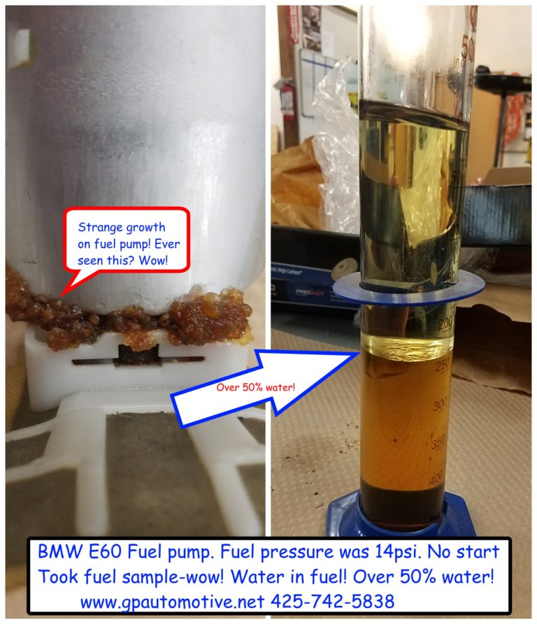 Water in BMW fuel system causing damage to the fuel system.